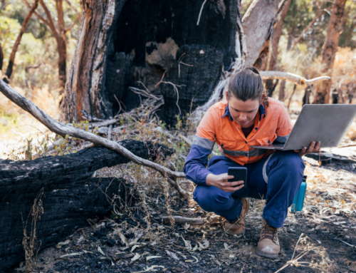 MEDIA RELEASE: Forestry Australia welcomes further definition of active forest management