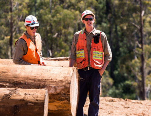 MEDIA RELEASE: Sound science needed to assess carbon impacts of timber harvesting